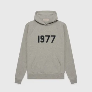 Essentials 1977 Hoodie Gray